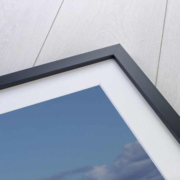 Harbor at night, Las Palmas, Gran Canaria, Spain by Anonymous