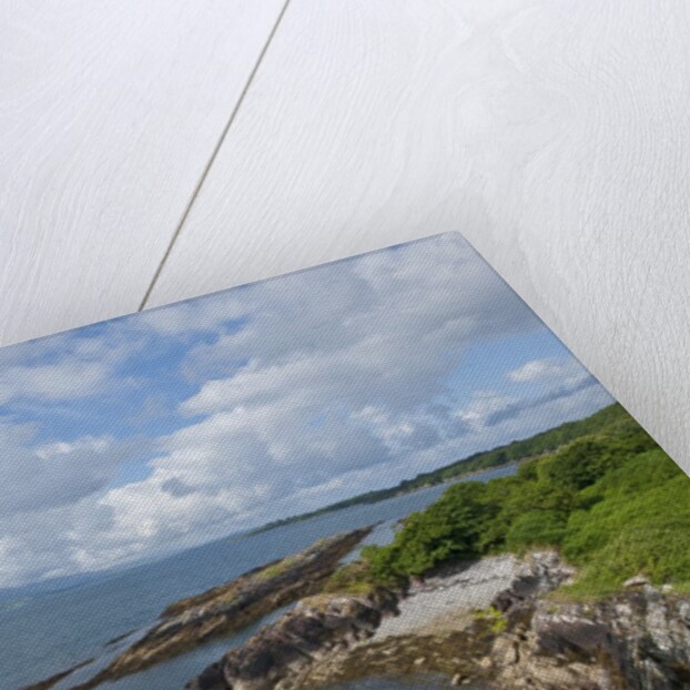 Coastline near Kenmare, Ring of Kerry, Kerry County, Ireland by Anonymous
