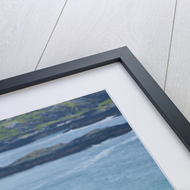 Sea coast, Derrynane National Historic Park, Ring of Kerry, Kerry County, Ireland by Anonymous