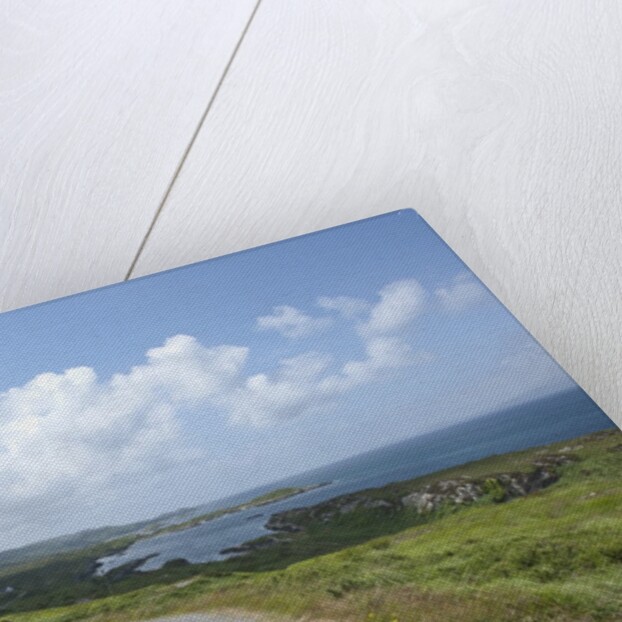 Kilcatherine Point road, Ring of Kerry, Kerry County, Ireland by Anonymous