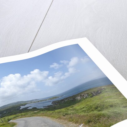 Kilcatherine Point road, Ring of Kerry, Kerry County, Ireland by Anonymous