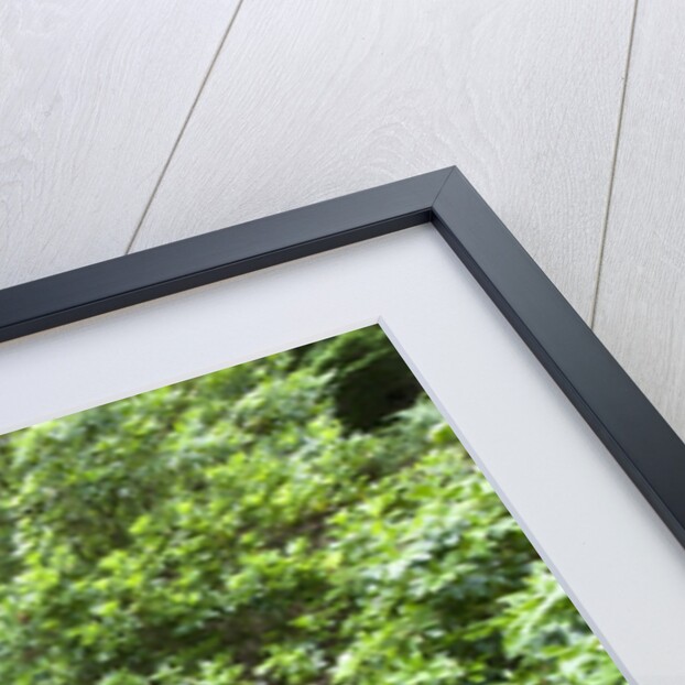 Torc Waterfall, Killarney National Park, Kerry County, Ireland by Anonymous