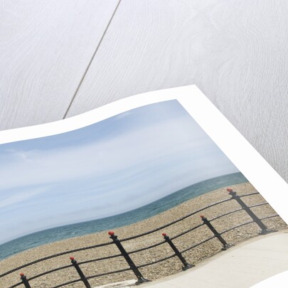 Beach of Howth, Wicklow County, Ireland by Anonymous