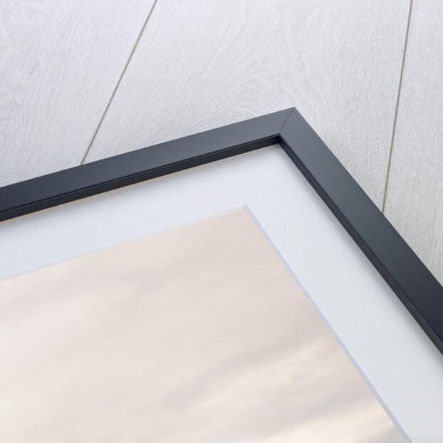 Lismore Castle, Lismore, waterford county, Ireland by Anonymous