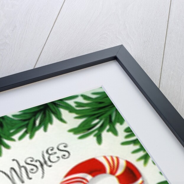 Vintage Illustration of Christmas Candy Cane by Anonymous