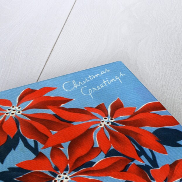Vintage Illustration of Christmas Poinsettias by Anonymous