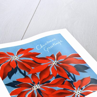 Vintage Illustration of Christmas Poinsettias by Anonymous