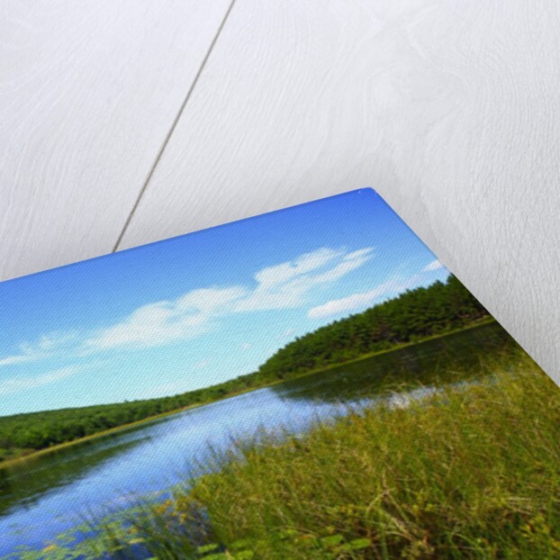 View of lake, cadia National Park, Maine, USA by Anonymous
