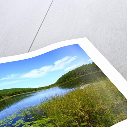 View of lake, cadia National Park, Maine, USA by Anonymous