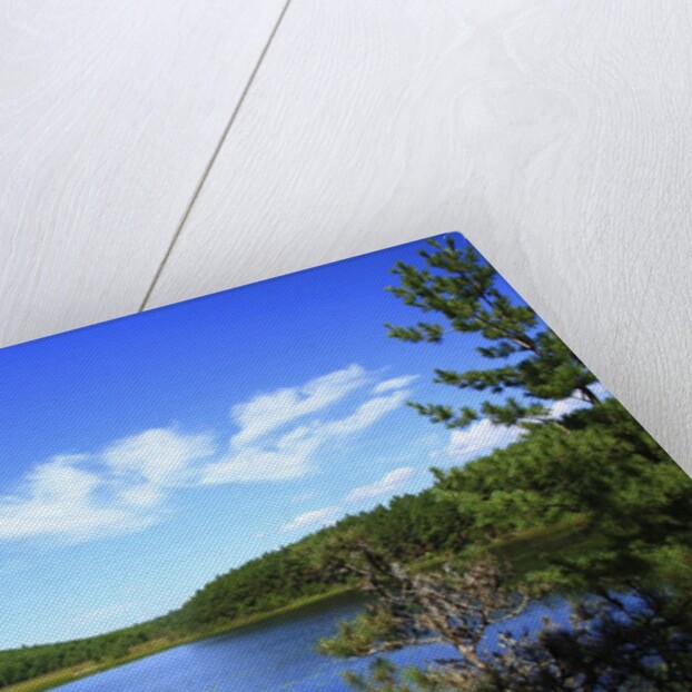 View of lake, cadia National Park, Maine, USA by Anonymous
