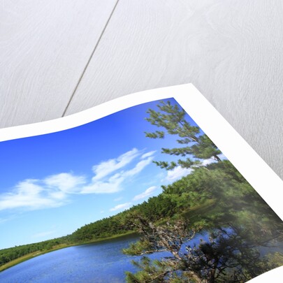 View of lake, cadia National Park, Maine, USA by Anonymous