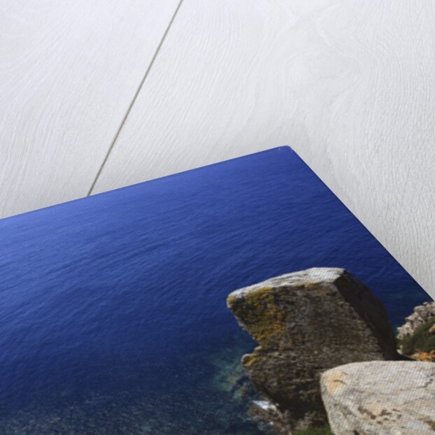 Coastline, San Pietro island, Carloforte, Sardinia, Italy by Anonymous