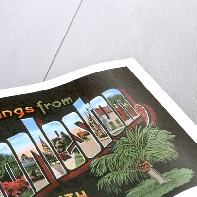 Greetings from Charleston, South Carolina by Anonymous