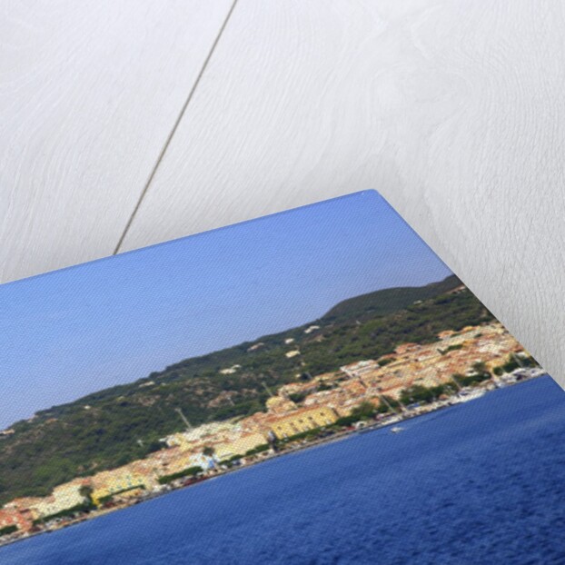 View of town on coast, Carloforte, San Pietro island, Sardinia, Italy by Anonymous