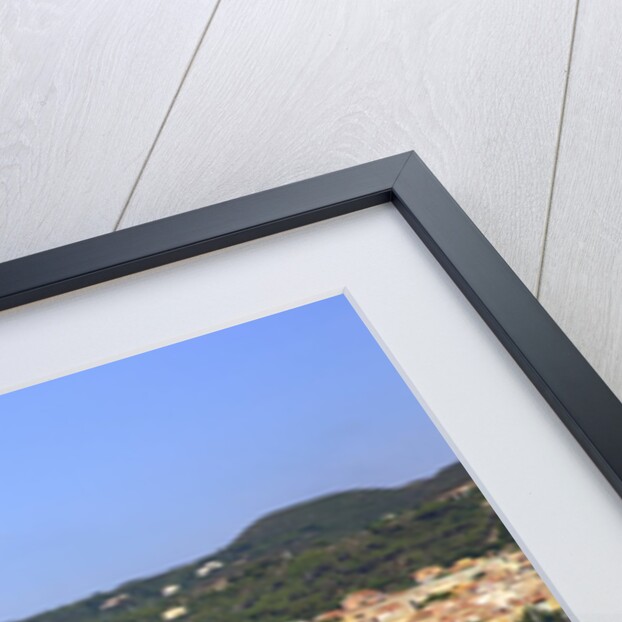 View of town on coast, Carloforte, San Pietro island, Sardinia, Italy by Anonymous