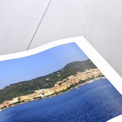 View of town on coast, Carloforte, San Pietro island, Sardinia, Italy by Anonymous