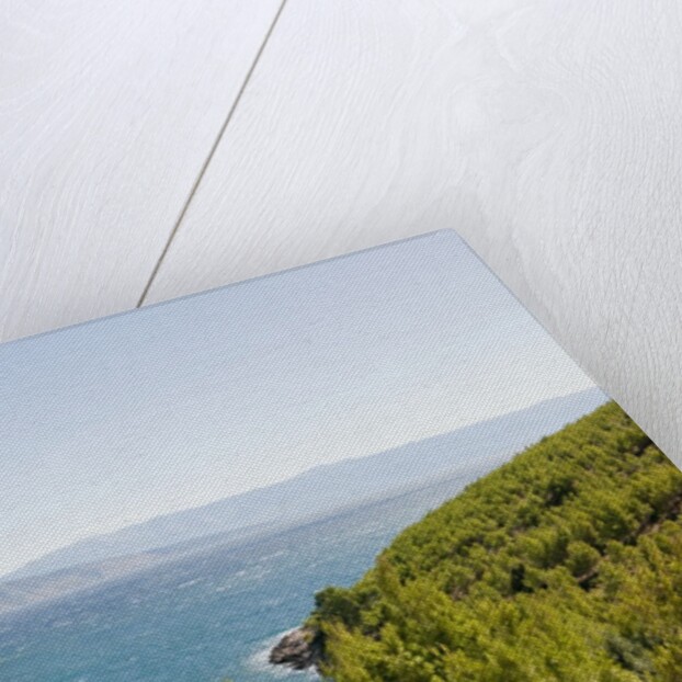 Lush foliage of island, Vrboska, Hvar Island, Croatia by Anonymous