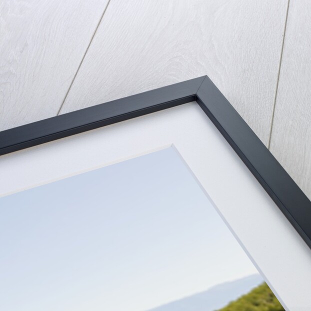 Lush foliage of island, Vrboska, Hvar Island, Croatia by Anonymous