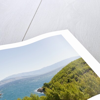 Lush foliage of island, Vrboska, Hvar Island, Croatia by Anonymous