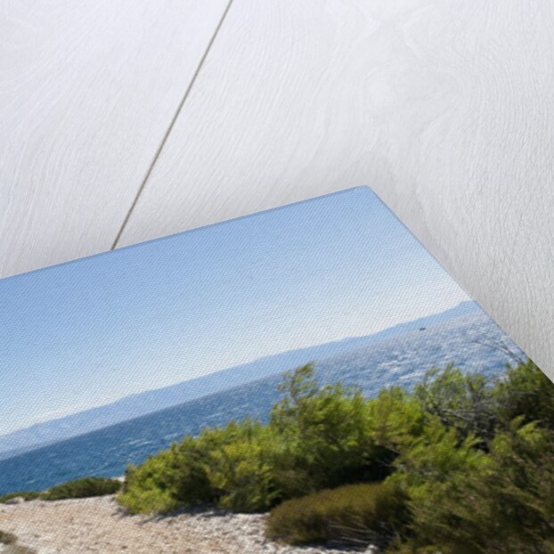 Footpath by sea, near Vrboska, Hvar Island, Croatia by Anonymous