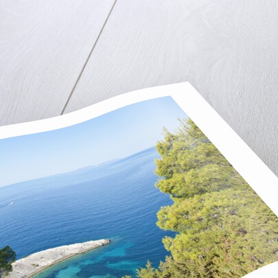 Zarace bay, Hvar Island, Croatia by Anonymous