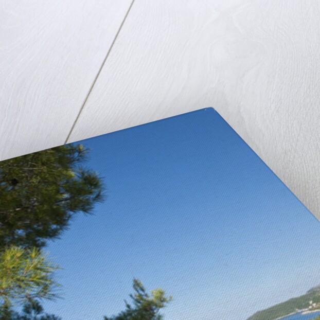 View of Zarace bay, Hvar Island, Croatia by Anonymous