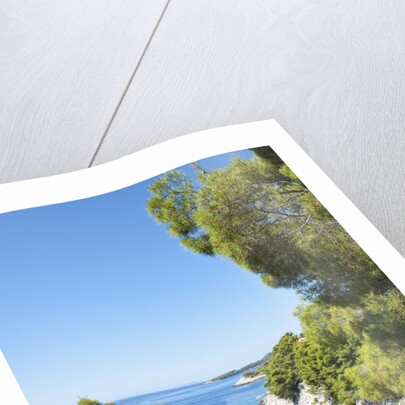 Coastline, Korcula island, Croatia by Anonymous