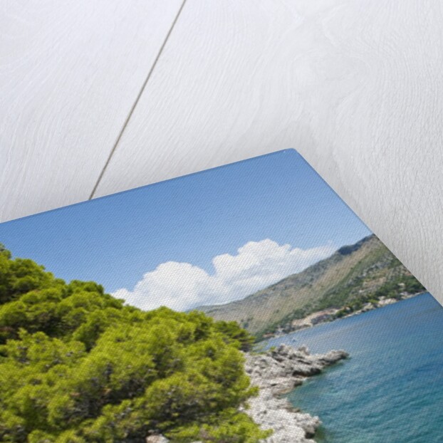 Beach near Zaton, Dubrovnik, Croatia by Anonymous