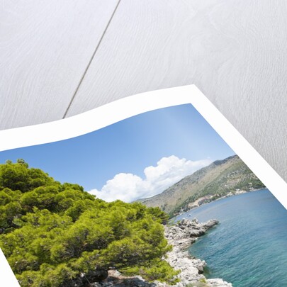 Beach near Zaton, Dubrovnik, Croatia by Anonymous