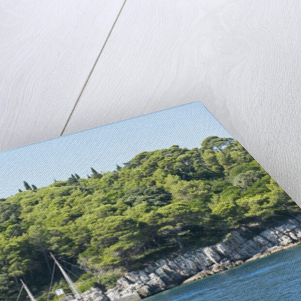 Coastline, Lokrum Island, Dubrovnik, Croatia by Anonymous