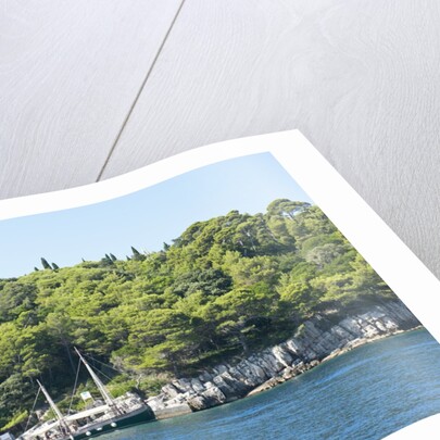 Coastline, Lokrum Island, Dubrovnik, Croatia by Anonymous