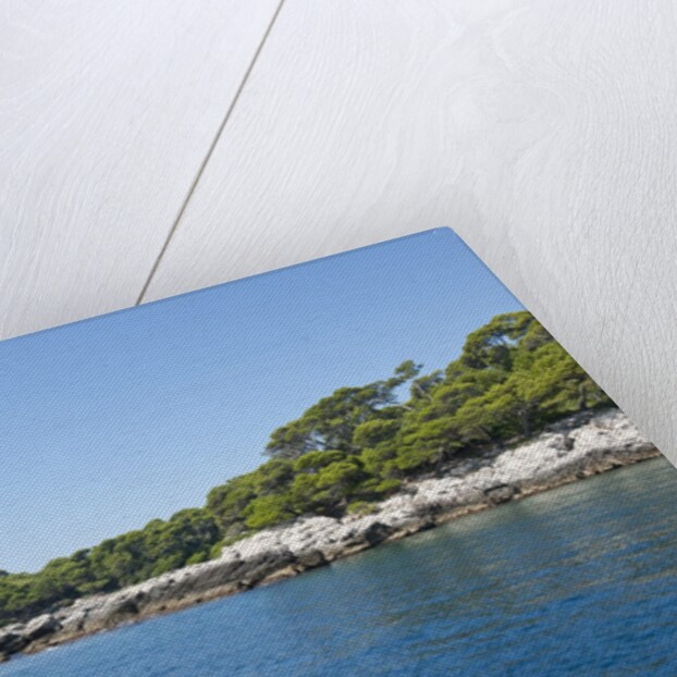 Coastline, Lokrum Island, Dubrovnik, Croatia by Anonymous