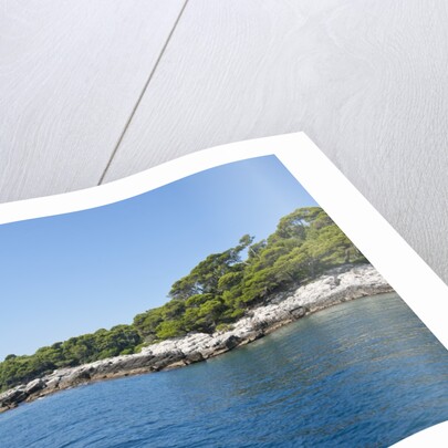 Coastline, Lokrum Island, Dubrovnik, Croatia by Anonymous