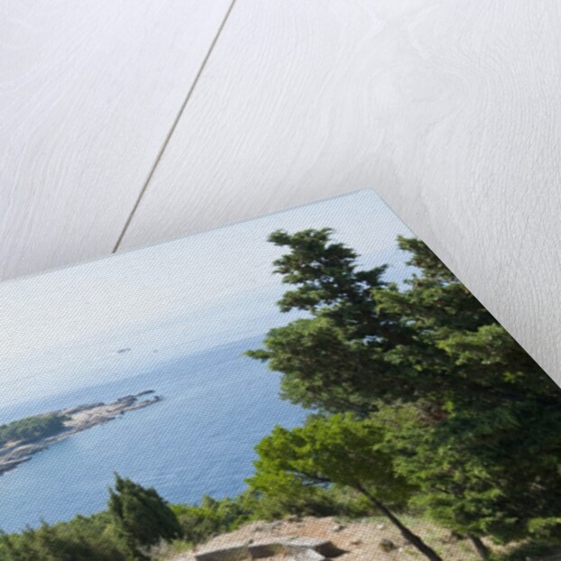 Lokrum Island, Dubrovnik, Croatia by Anonymous