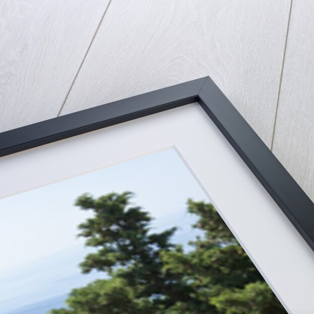 Lokrum Island, Dubrovnik, Croatia by Anonymous