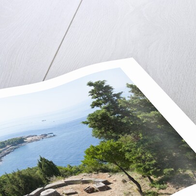 Lokrum Island, Dubrovnik, Croatia by Anonymous