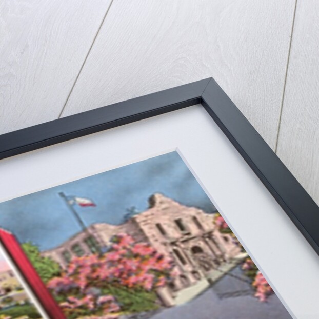 Greetings from San Antonio, Texas by Anonymous