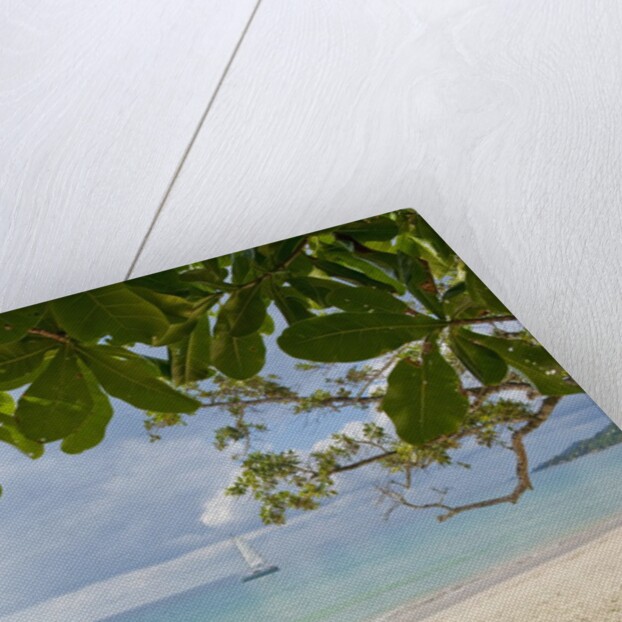 Beach at Bel Ombre, Baie Beau Vallon, Mahe, Seychelles, Indian Ocean islands by Anonymous