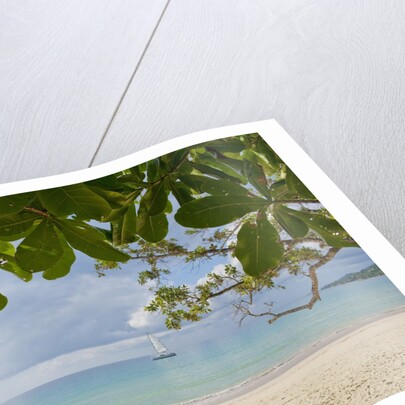 Beach at Bel Ombre, Baie Beau Vallon, Mahe, Seychelles, Indian Ocean islands by Anonymous