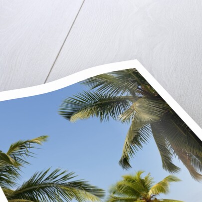 Takamaka beach, Seychelles, Indian Ocean islands by Anonymous