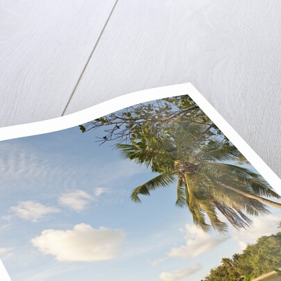 Source d'Argent Beach, La Digue, Seychelles, Indian Ocean Islands by Anonymous