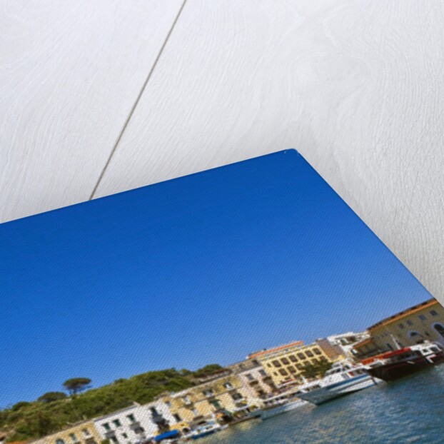 Ischia Porto, Ischia, Campania, Italy by Anonymous