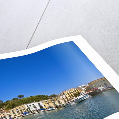 Ischia Porto, Ischia, Campania, Italy by Anonymous
