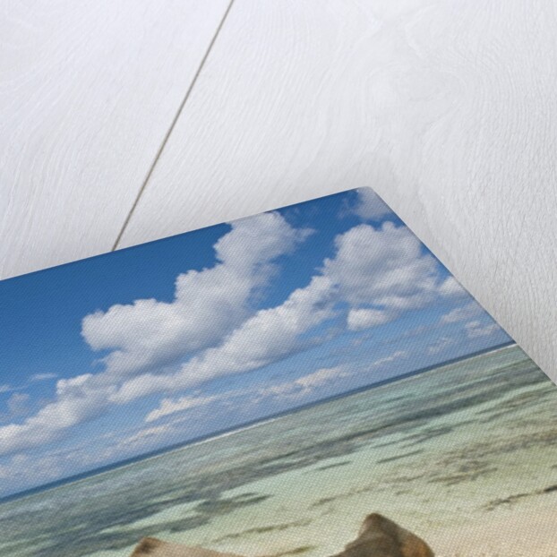 Source d'Argent Beach, La Digue, Seychelles, Indian Ocean Islands by Anonymous