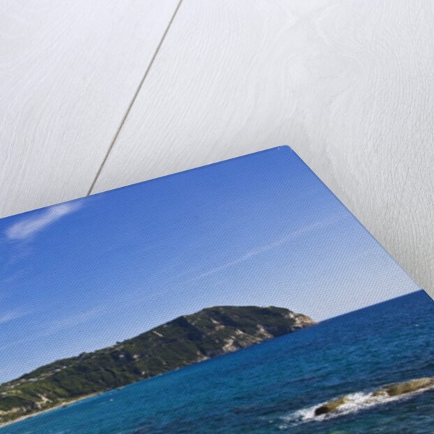 Coastline, Forio, Campania, Italy by Anonymous