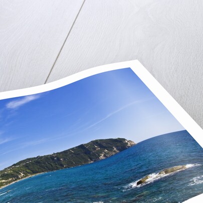 Coastline, Forio, Campania, Italy by Anonymous