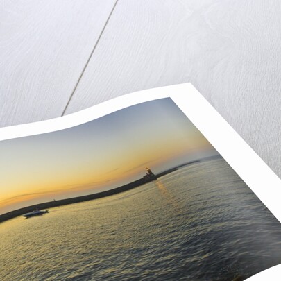 Entrance of port -at sunset, Ischia Porto, Ischia, Campania, Italy by Anonymous