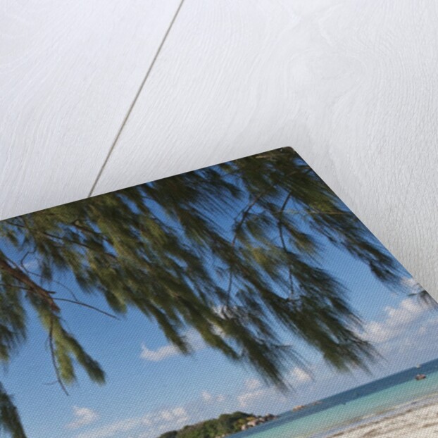 Praslin Island, Seychelles, Indian Ocean Islands by Anonymous