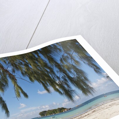 Praslin Island, Seychelles, Indian Ocean Islands by Anonymous