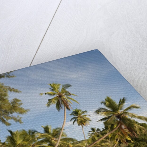 View of Takamaka Beach, Mahe, Seychelles by Anonymous